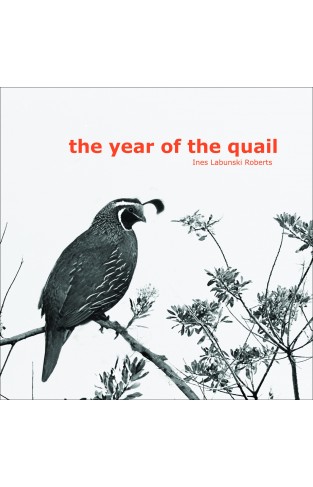 The year of the quail